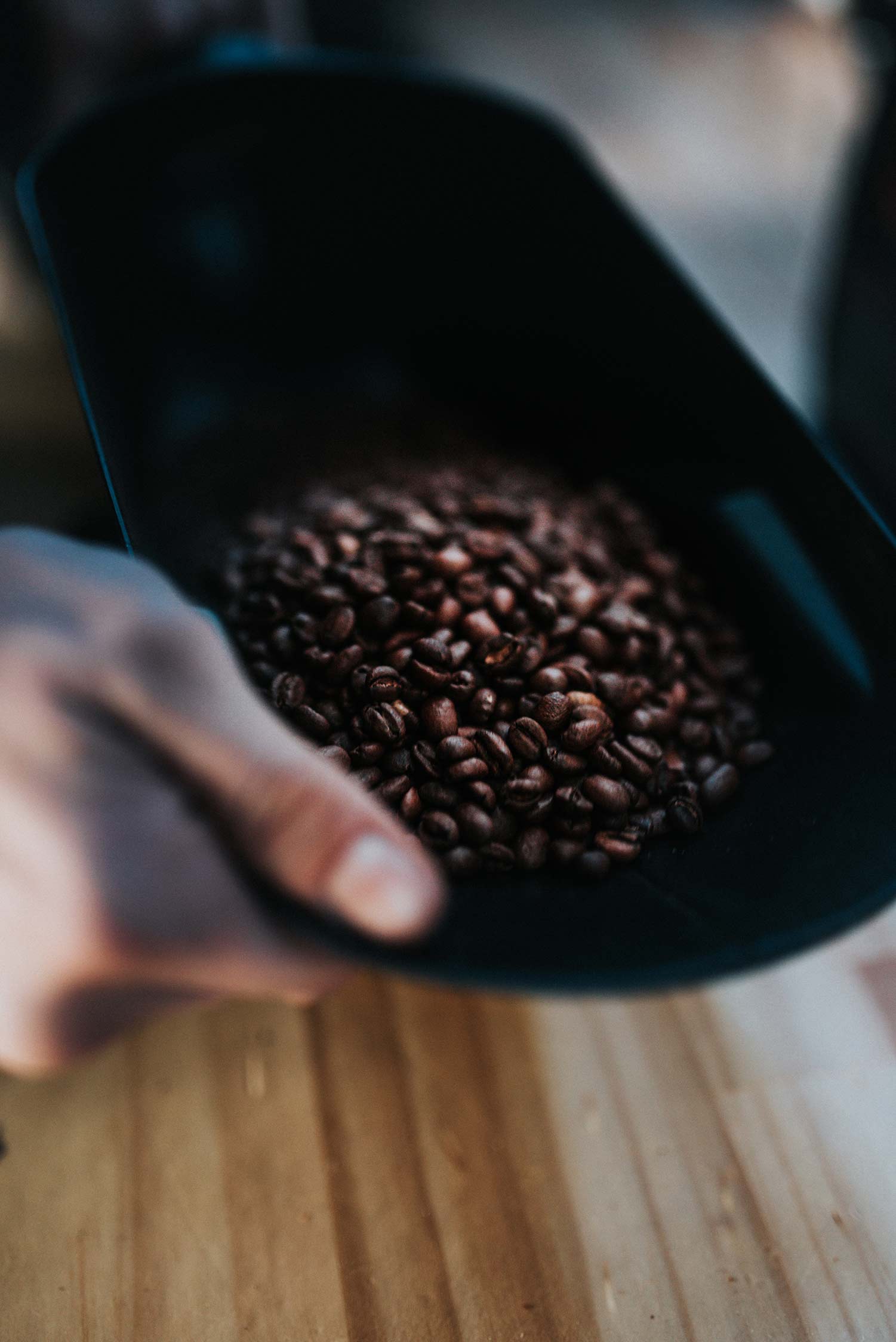 coffee beans