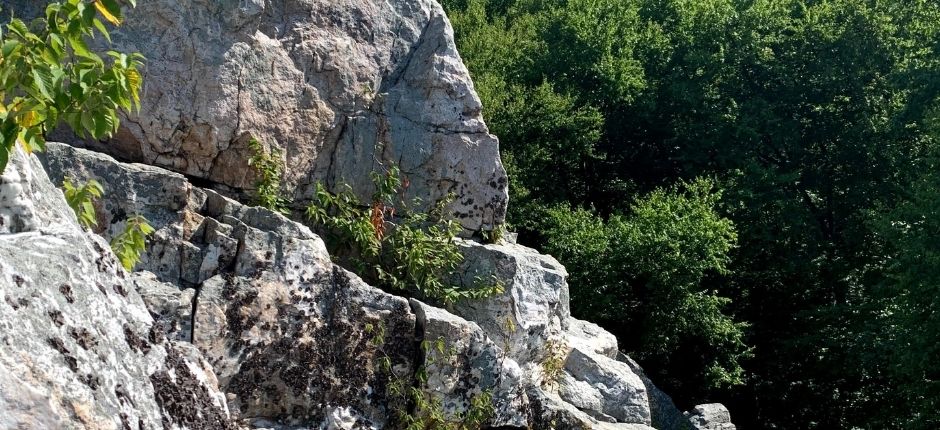 gray rocks stacked on top of each other