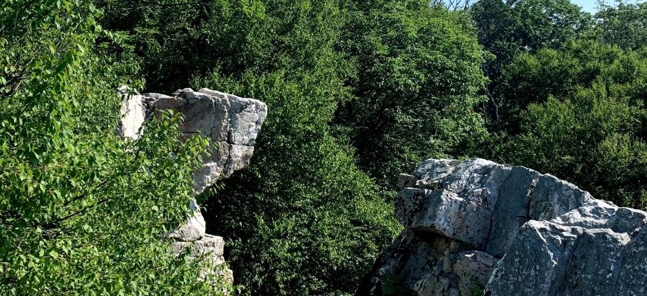 rock shaped like a wolf